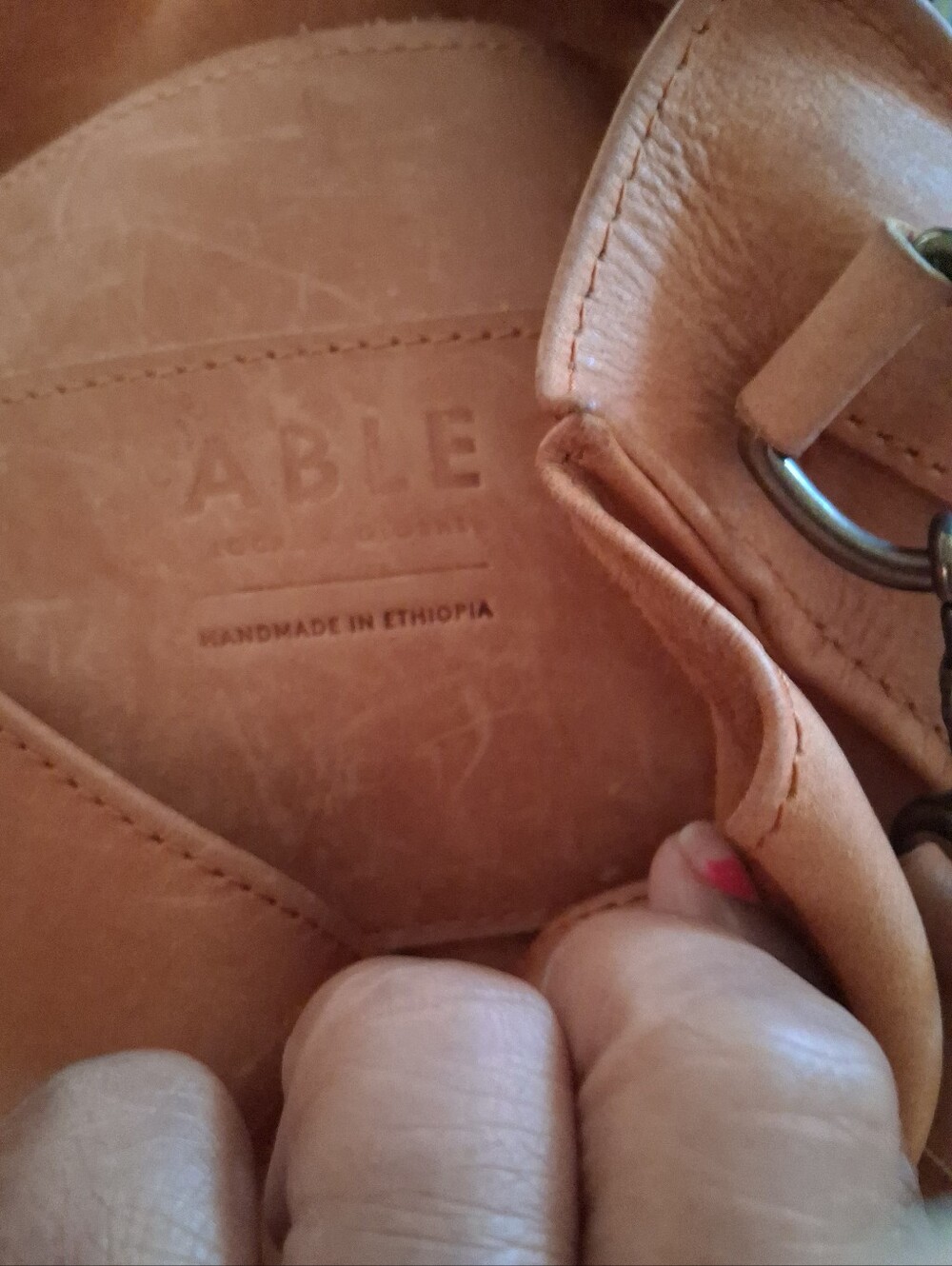 ABLE - Picture 2 of 16